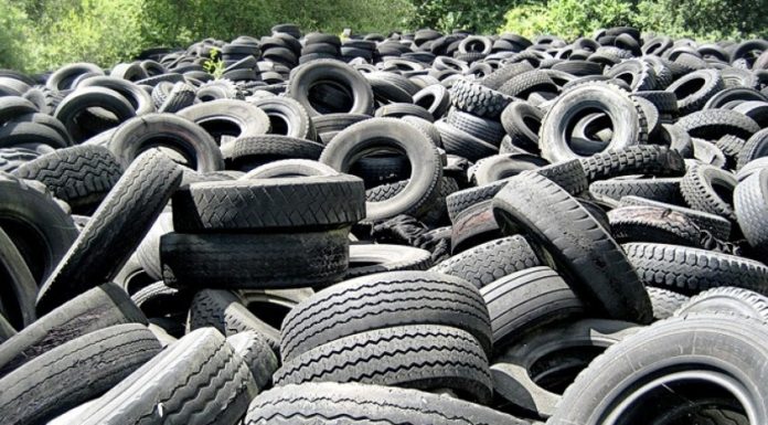 Canjeará Tamaulipas llantas por balones deportivos.