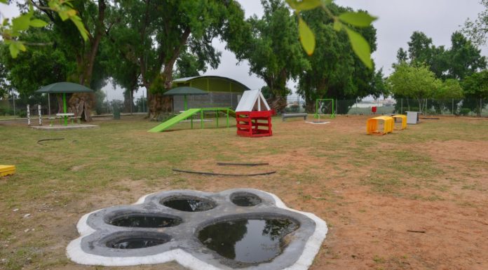Habilitan espacio canino dentro del Parque Viveros.