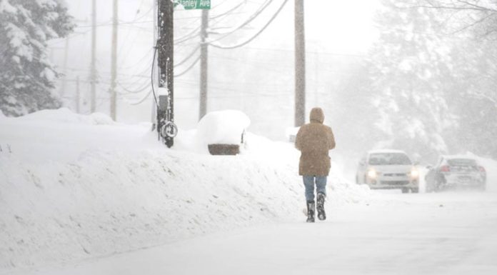 Frío extremo en EU deja al menos cuatro muertos.
