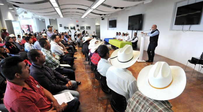Agradecen Gómez Farías, Llera y Ocampo apoyo del Gobierno del Estado empleando familias.