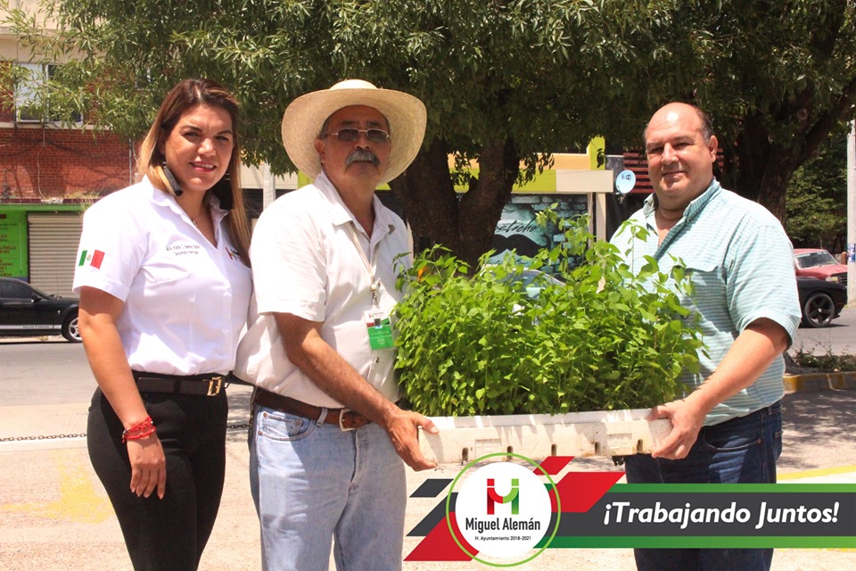 Vivero Municipal Reciben Donacion De Plantas De Chile De Monte Agenciatamnoticias